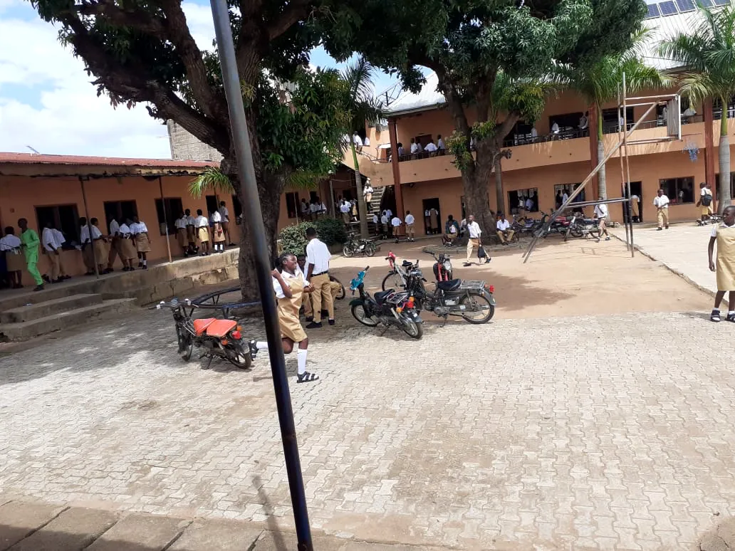 Break time in the tree-shaded courtyard